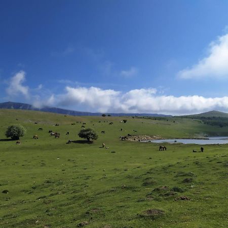 Casa Rural Ulibarri Allo ภายนอก รูปภาพ